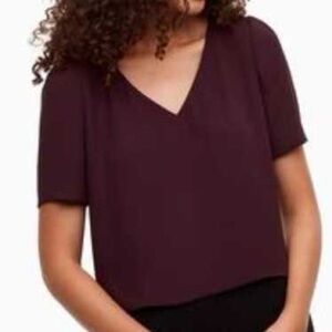 LAST CHANCE! Aritzia Babaton Randy Blouse